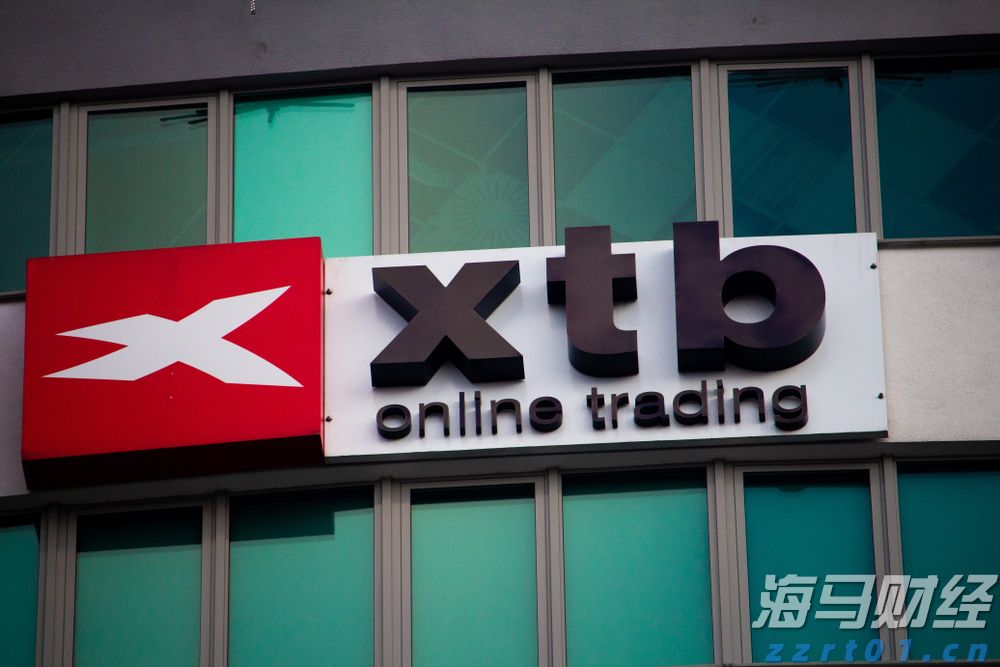 野村Q2投资布局聚焦AI及高波动性股票，重仓特斯拉期权