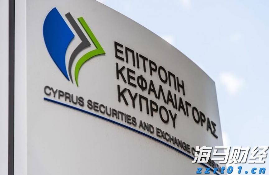 全区特殊教育学科中心组能力提升活动在我市举办